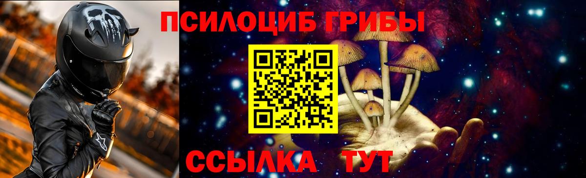 Пугачёв  Псилоцибиновые грибы Psilocybine cubensis  Вход с VPN  Галлюциногенные грибы Cubensis 
